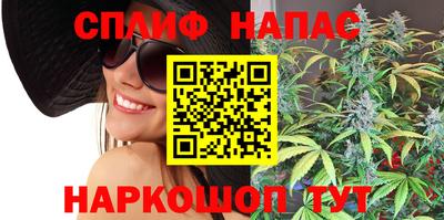 гидропоника Будённовск