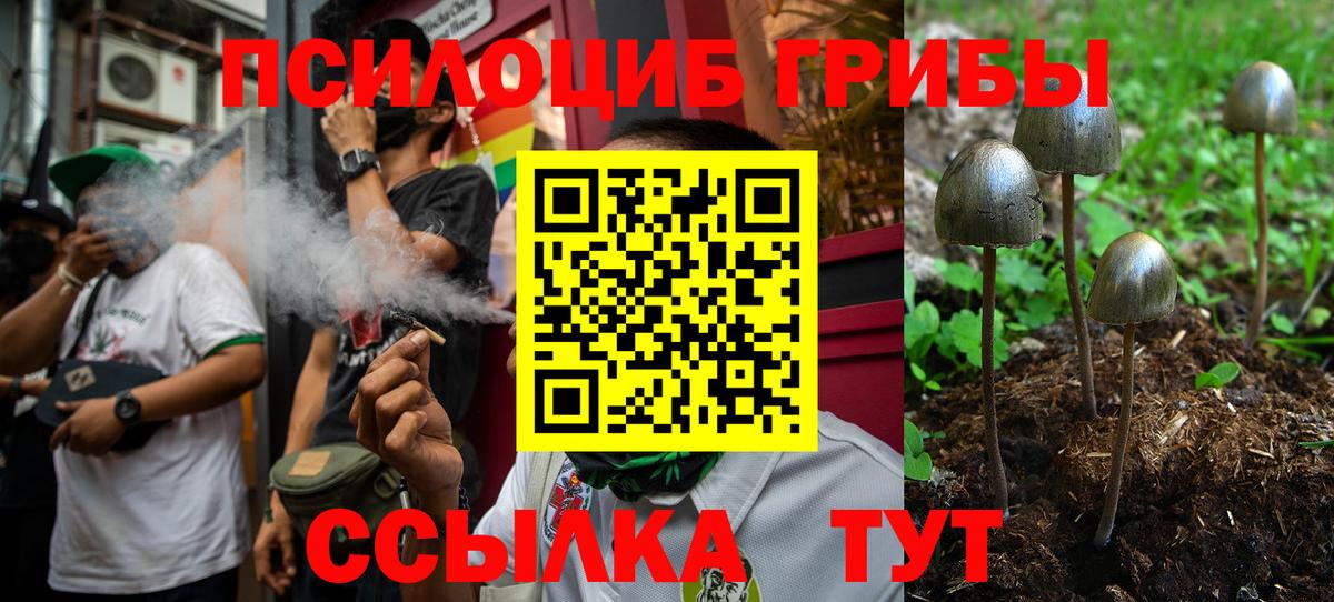Галлюциногенные грибы Psilocybine cubensis  Вход с VPN  Курчалой  Псилоцибиновые грибы Magic Shrooms 